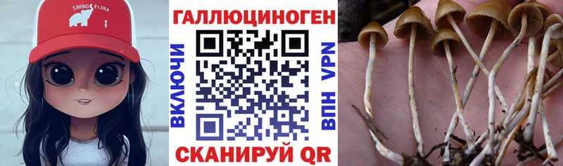 OMG онион  Тихвин  Псилоцибиновые грибы мухоморы 